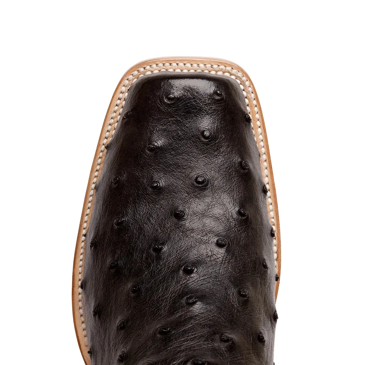 Antonio Full Quill Ostrich Stockman Square Toe Boot - Black