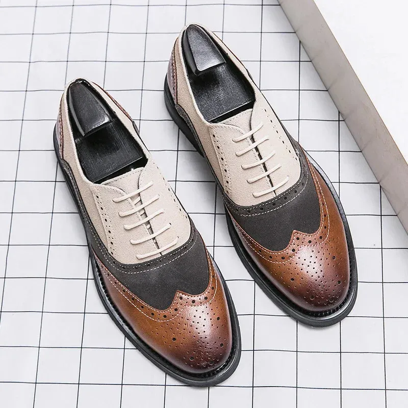 ARISTO WINGTIP BROGUES