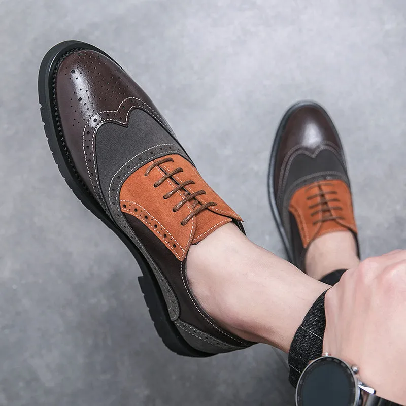 ARISTO WINGTIP BROGUES
