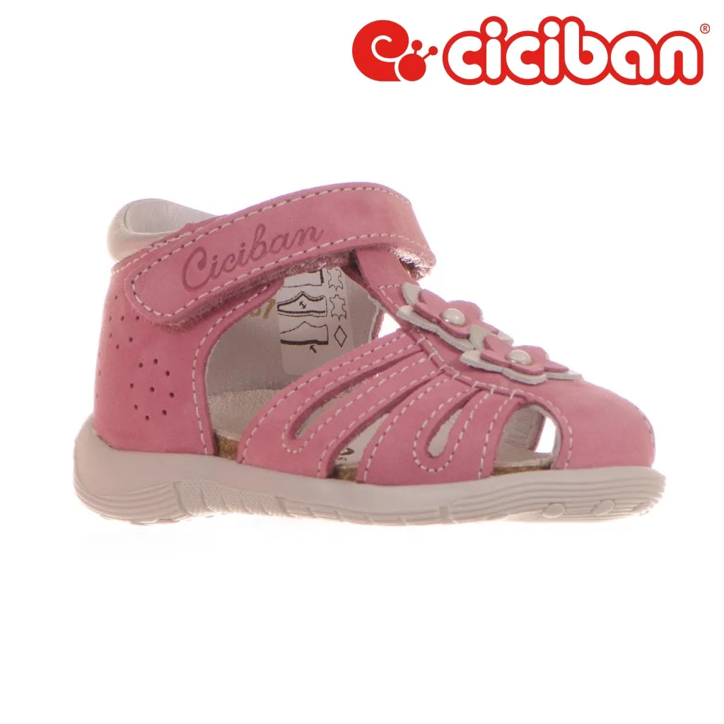 Bio Rosa 07