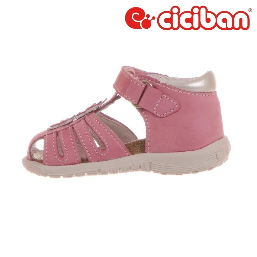 Bio Rosa 07