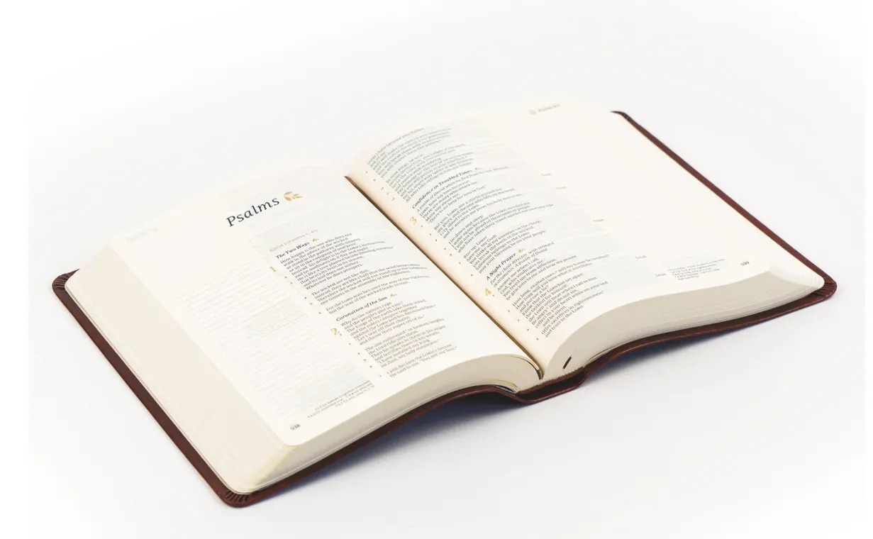 CSB Notetaking Bible : Anchorage Theme