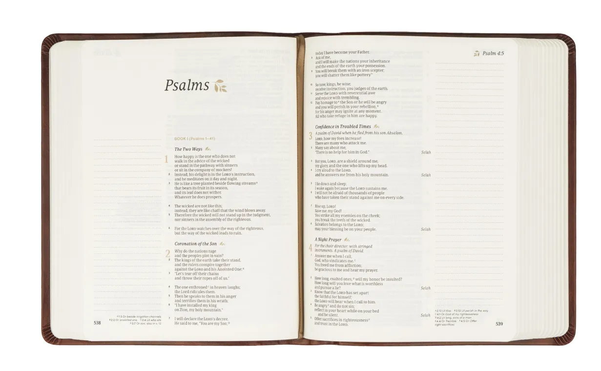 CSB Notetaking Bible : Anchorage Theme