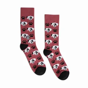 Dog Socks
