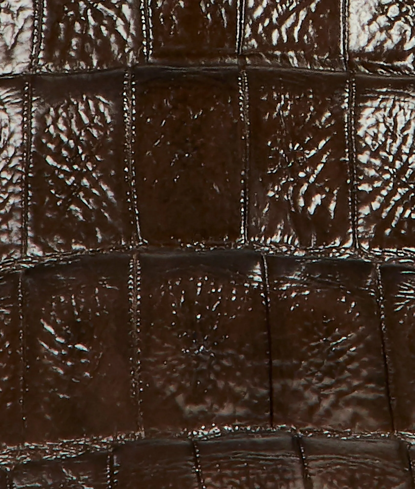 Douglas :: Chocolate