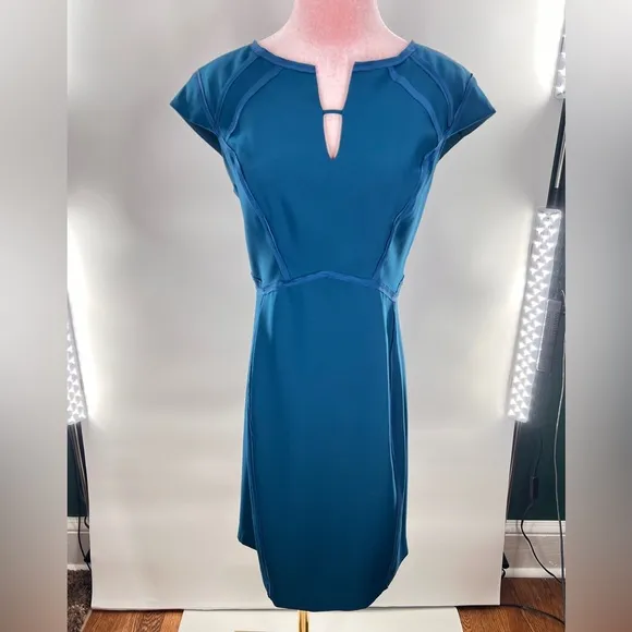 EUC Rebecca Taylor Cap Sleeve Sheath Dress