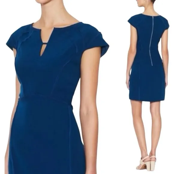 EUC Rebecca Taylor Cap Sleeve Sheath Dress