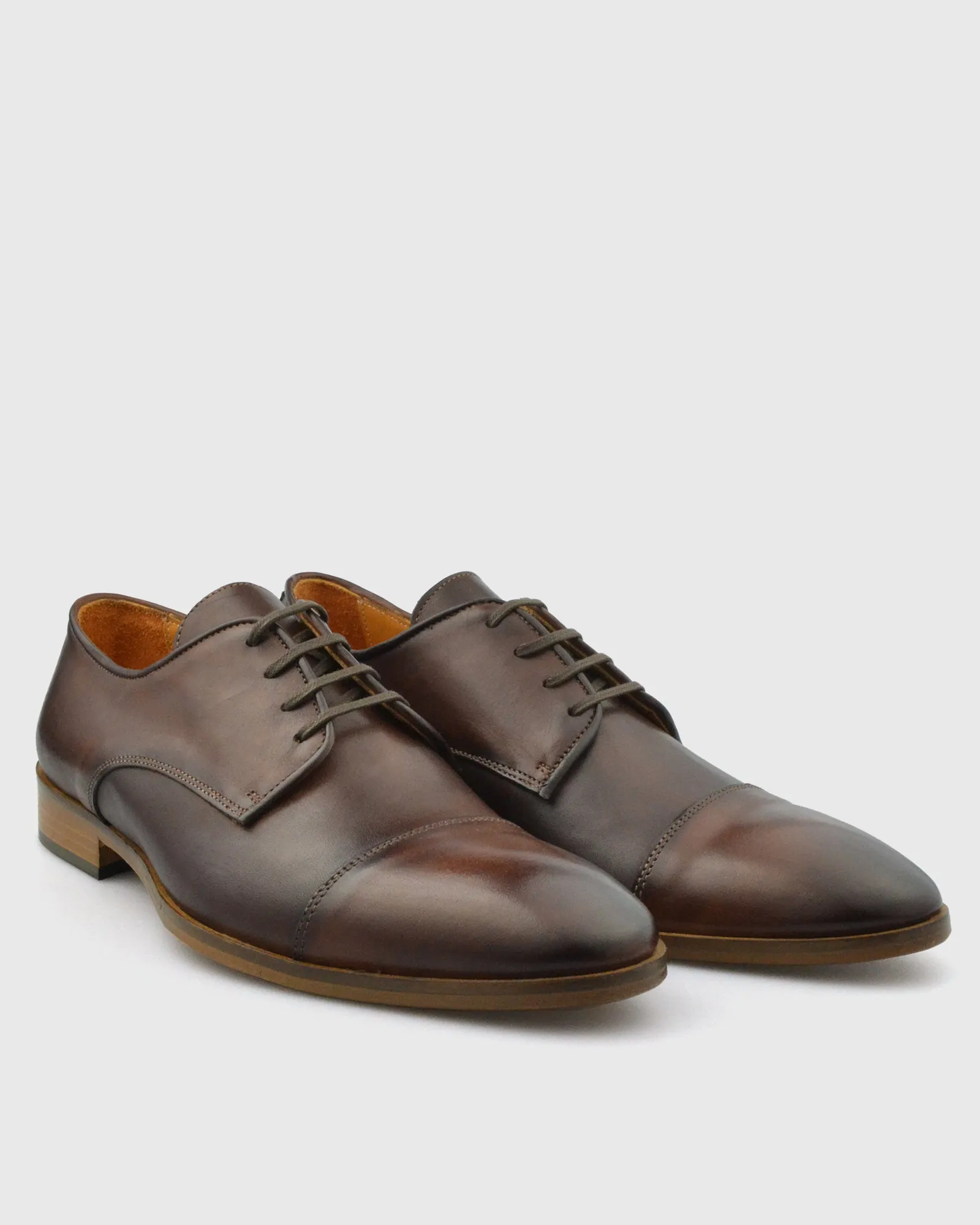 IMASCHI W233371 DERBY LACE TOE CAP BRANDY SHOE