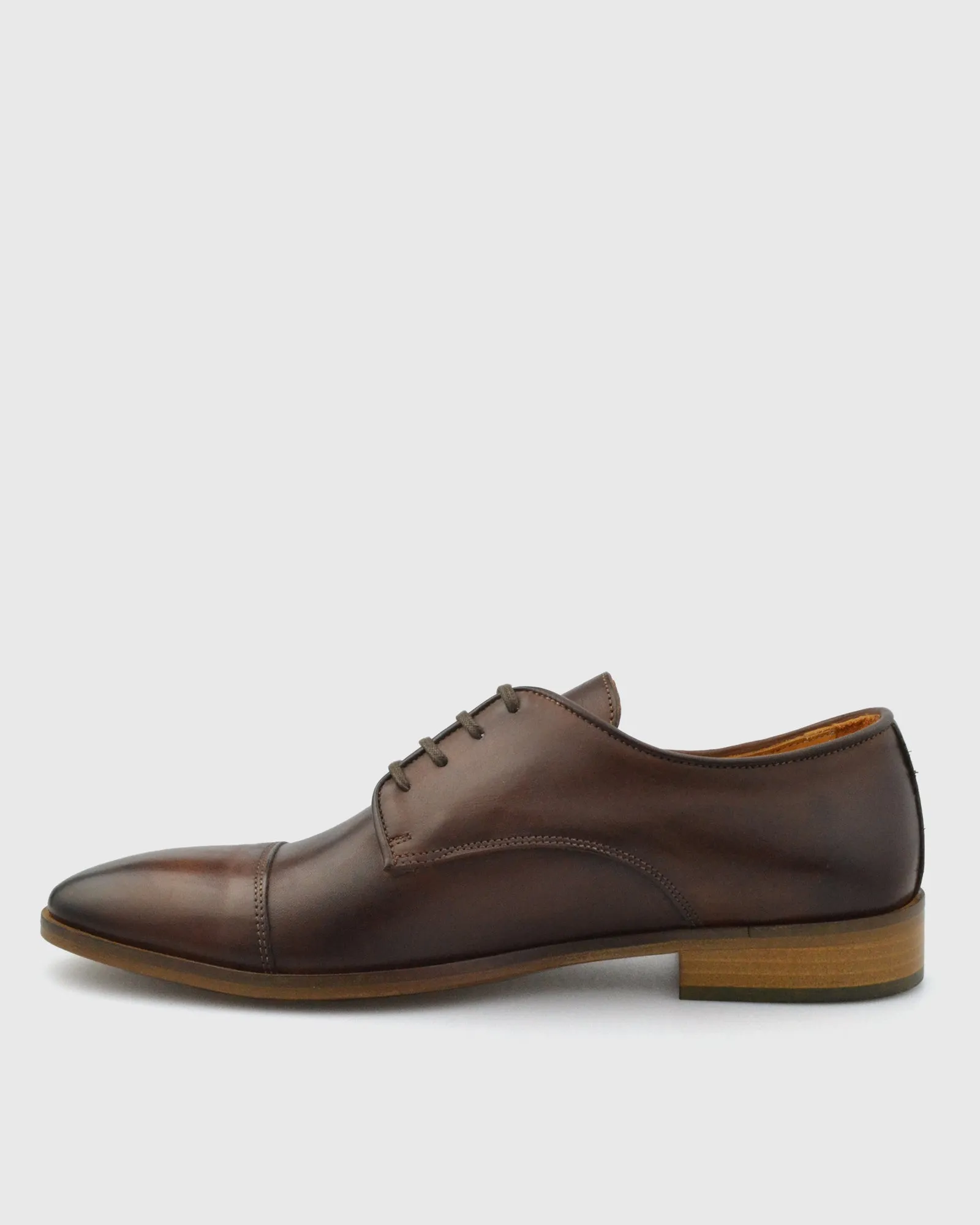 IMASCHI W233371 DERBY LACE TOE CAP BRANDY SHOE