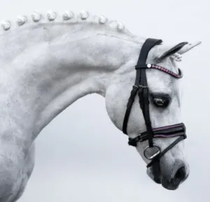 Lumiere Bridle Lumi Pony Fairy Floss