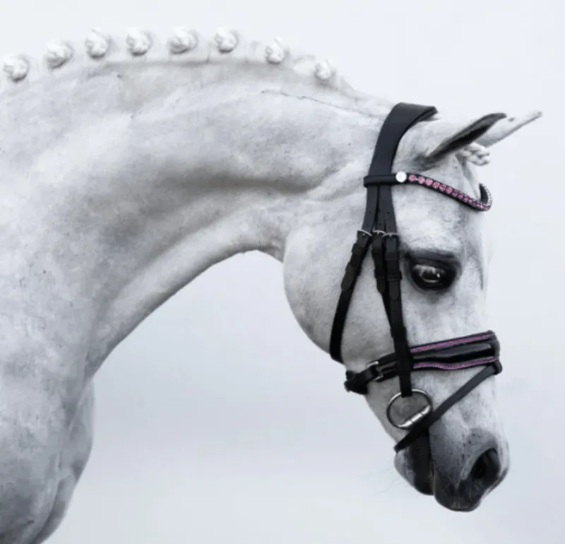 Lumiere Bridle Lumi Pony Fairy Floss