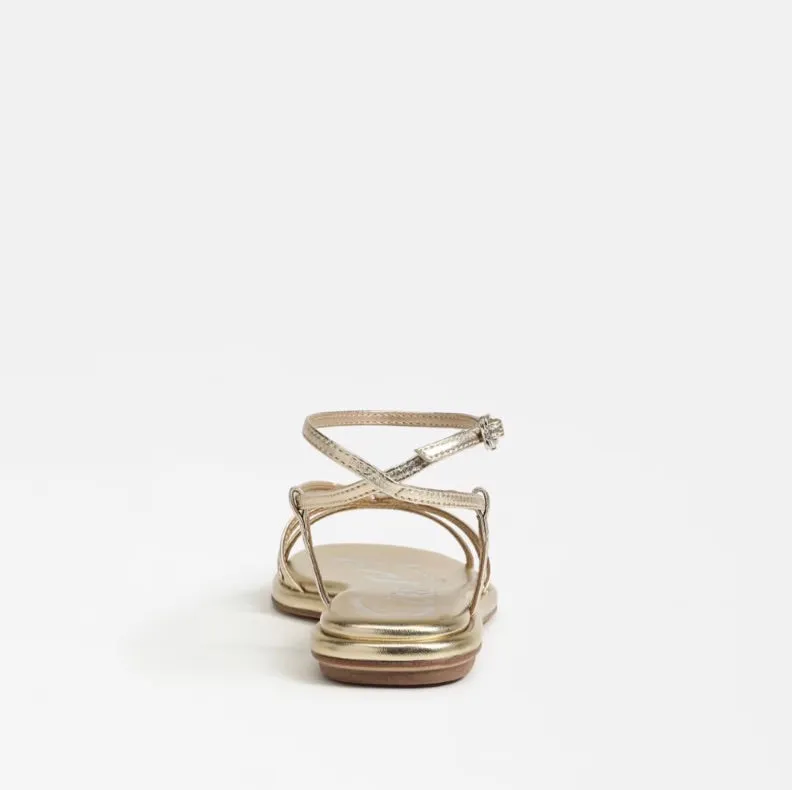 Olana Strappy Flat Sandal in Gold